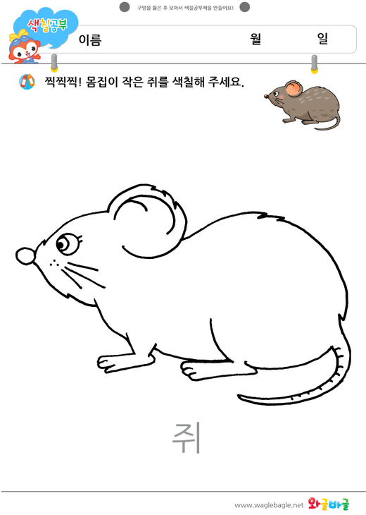 대표이미지