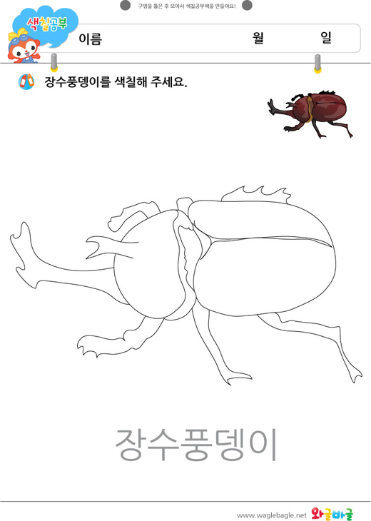 대표이미지