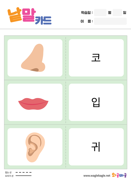 대표이미지